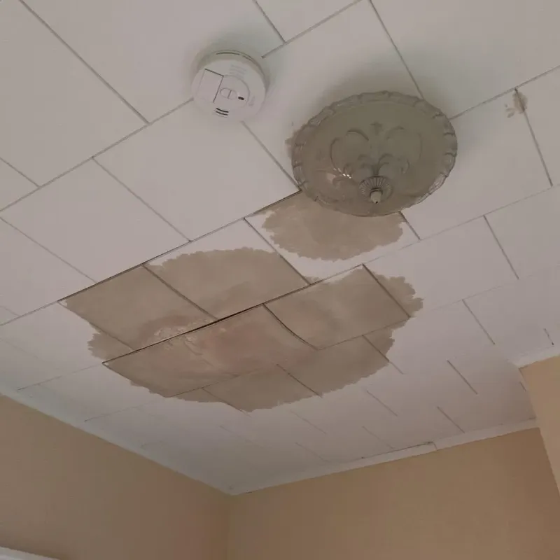 Ceiling Water Damage Repair in Hurst, TX