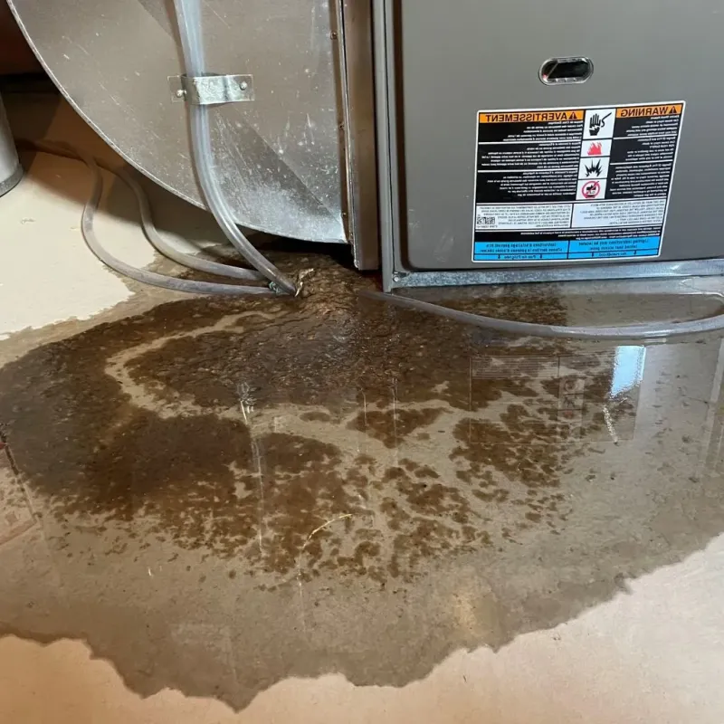 Pipe Burst and Leak Restoration in Hurst, TX