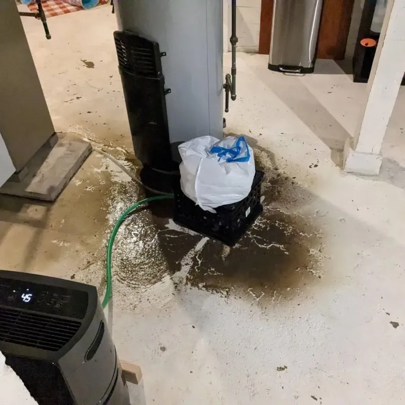 Sewage Backup Cleanup Service in Hurst, TX